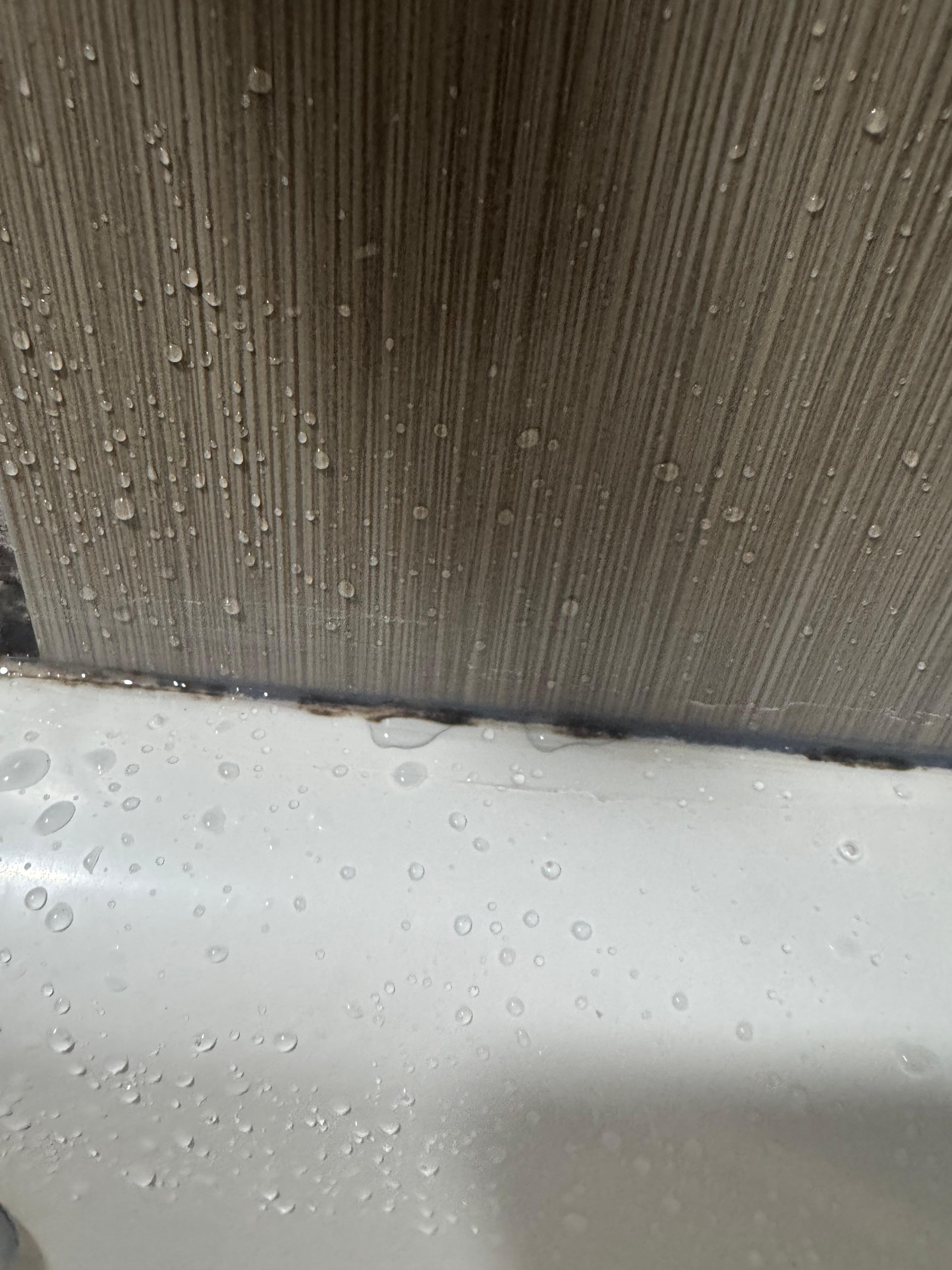 Mold around tub