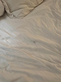 Dirty Sheets