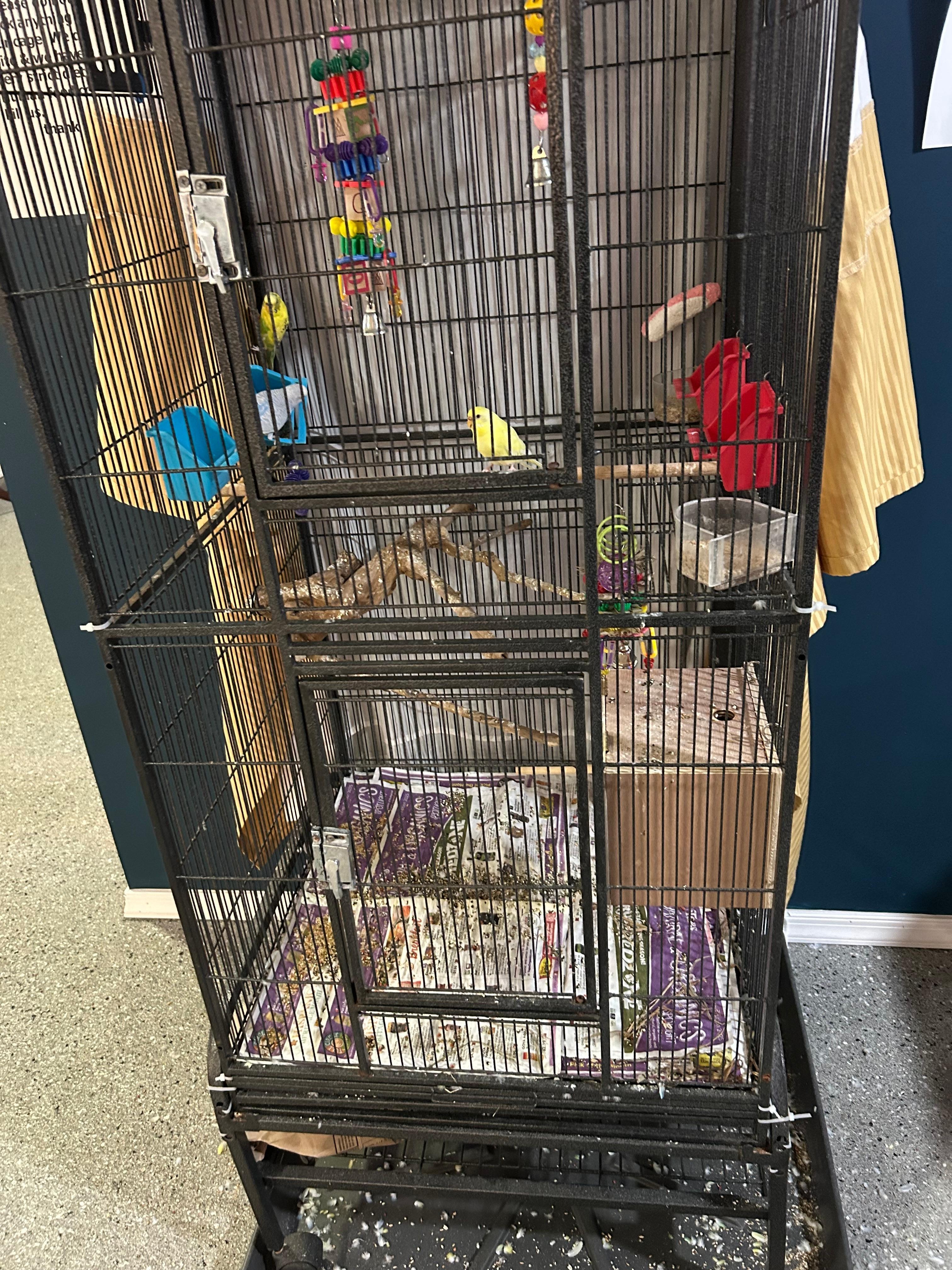 Chautauqua SPCA: please help