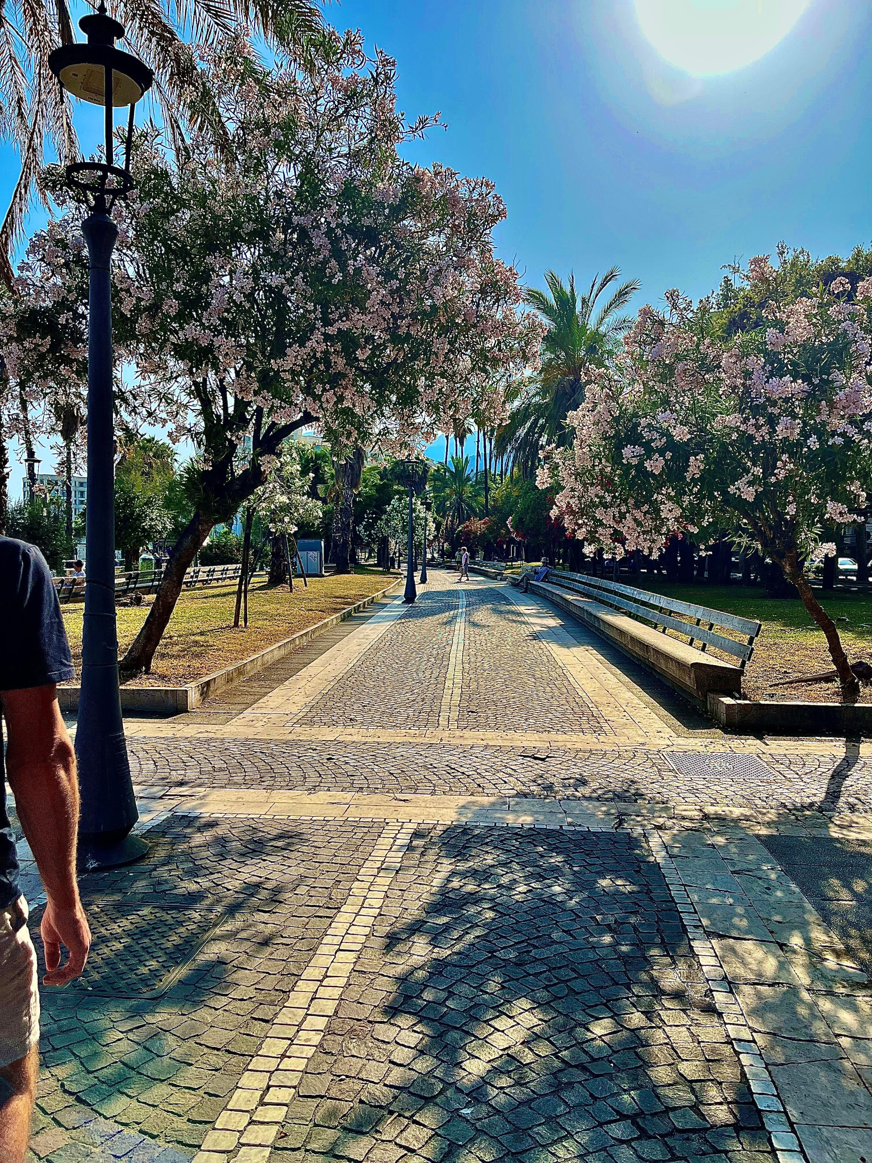 Walking down by the water
