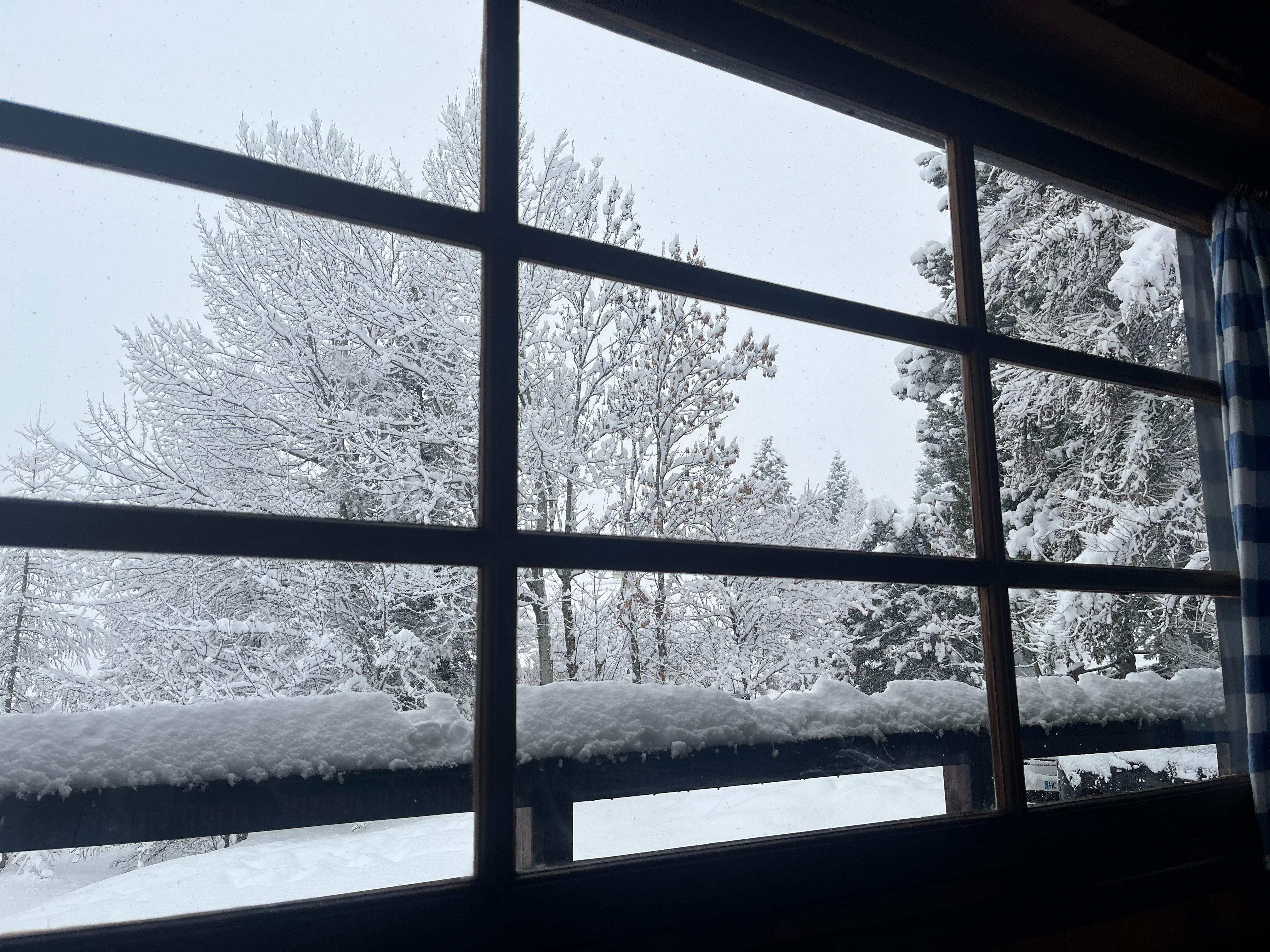 Vue du petit déjeuner !