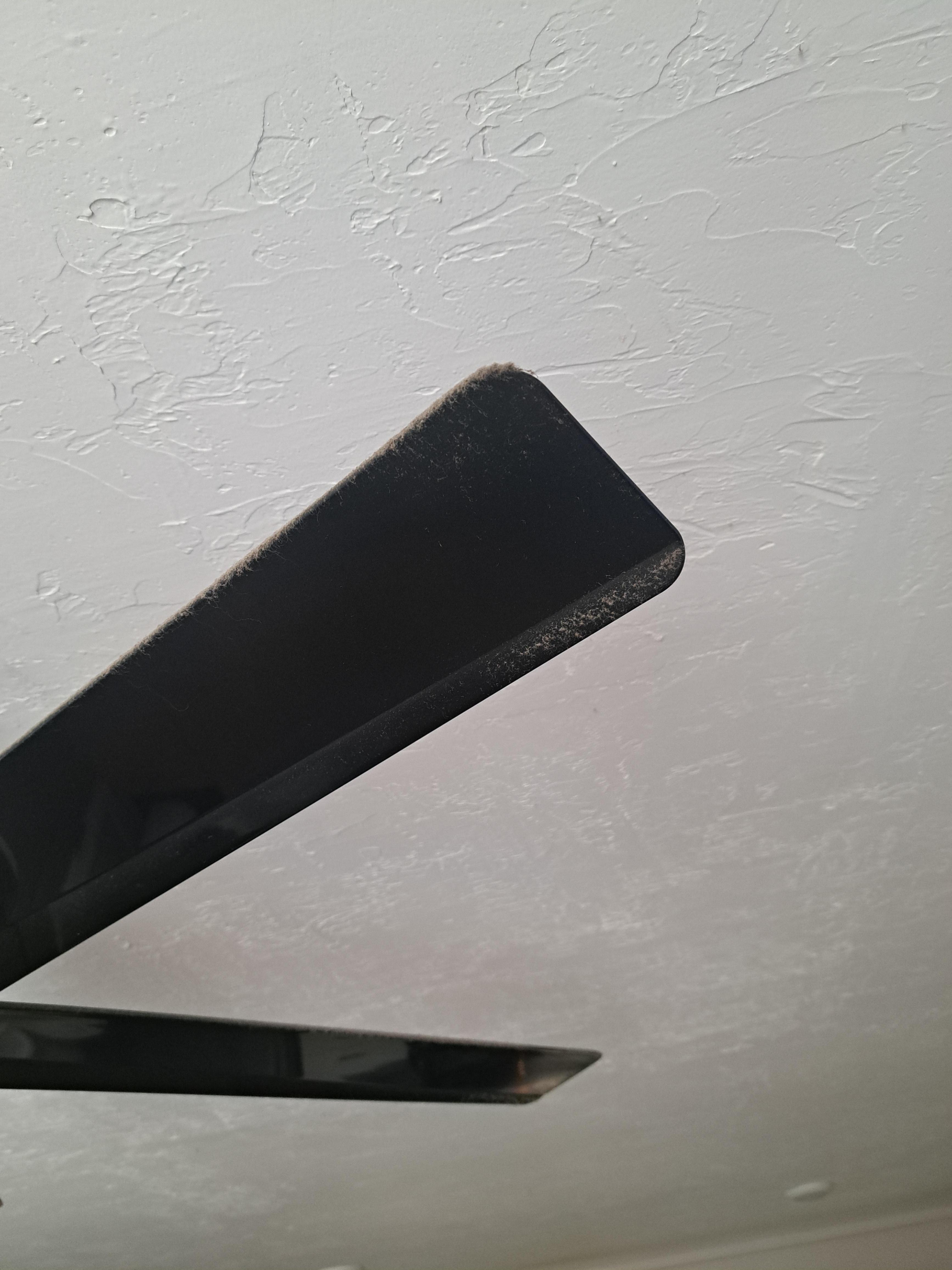 Dust on undersurface of every house fan.