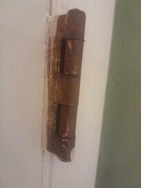 Rust everywhere
