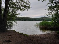 Springsee