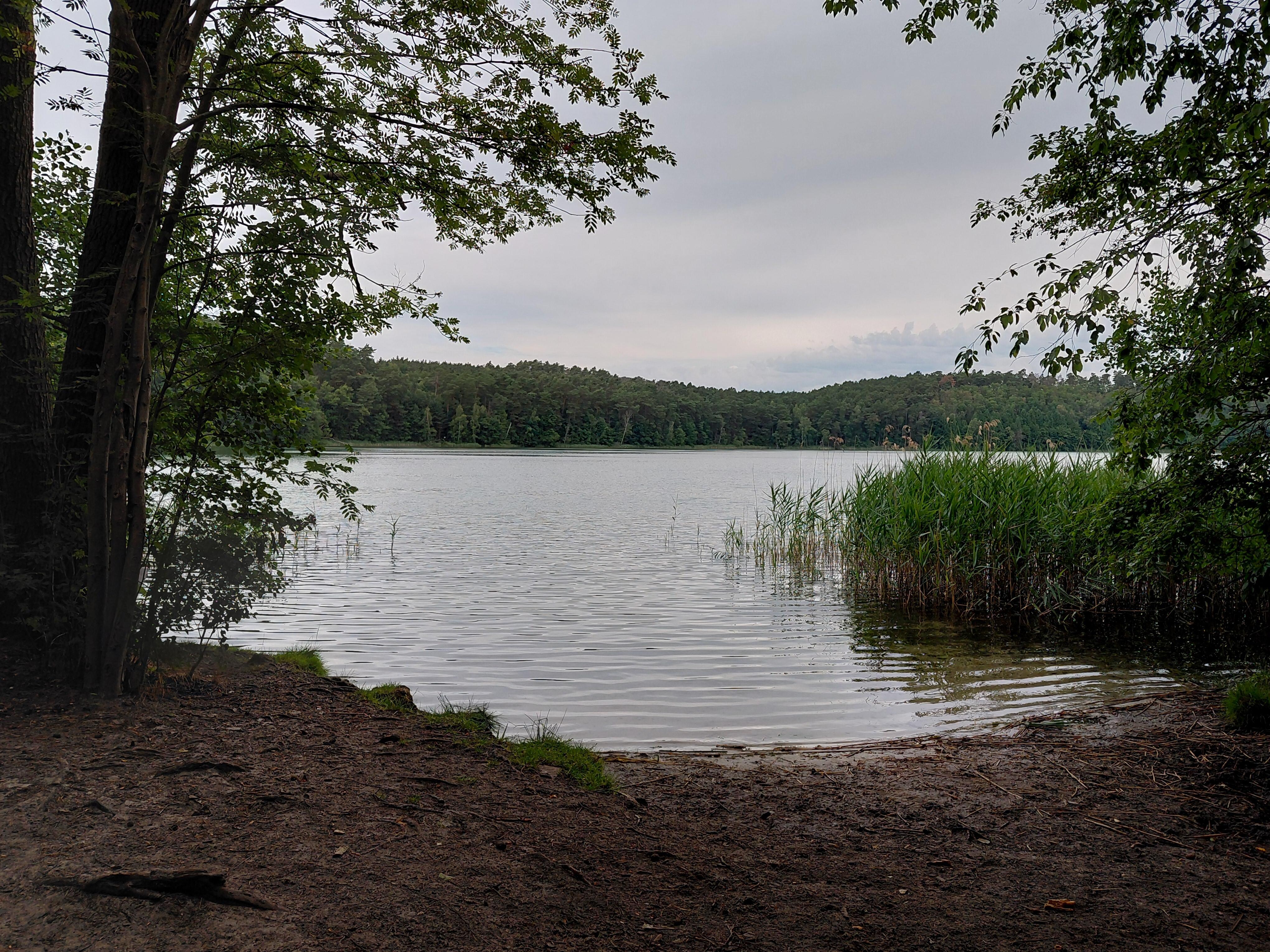 Springsee