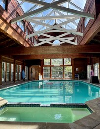 Indoor pool and jacuzzi.