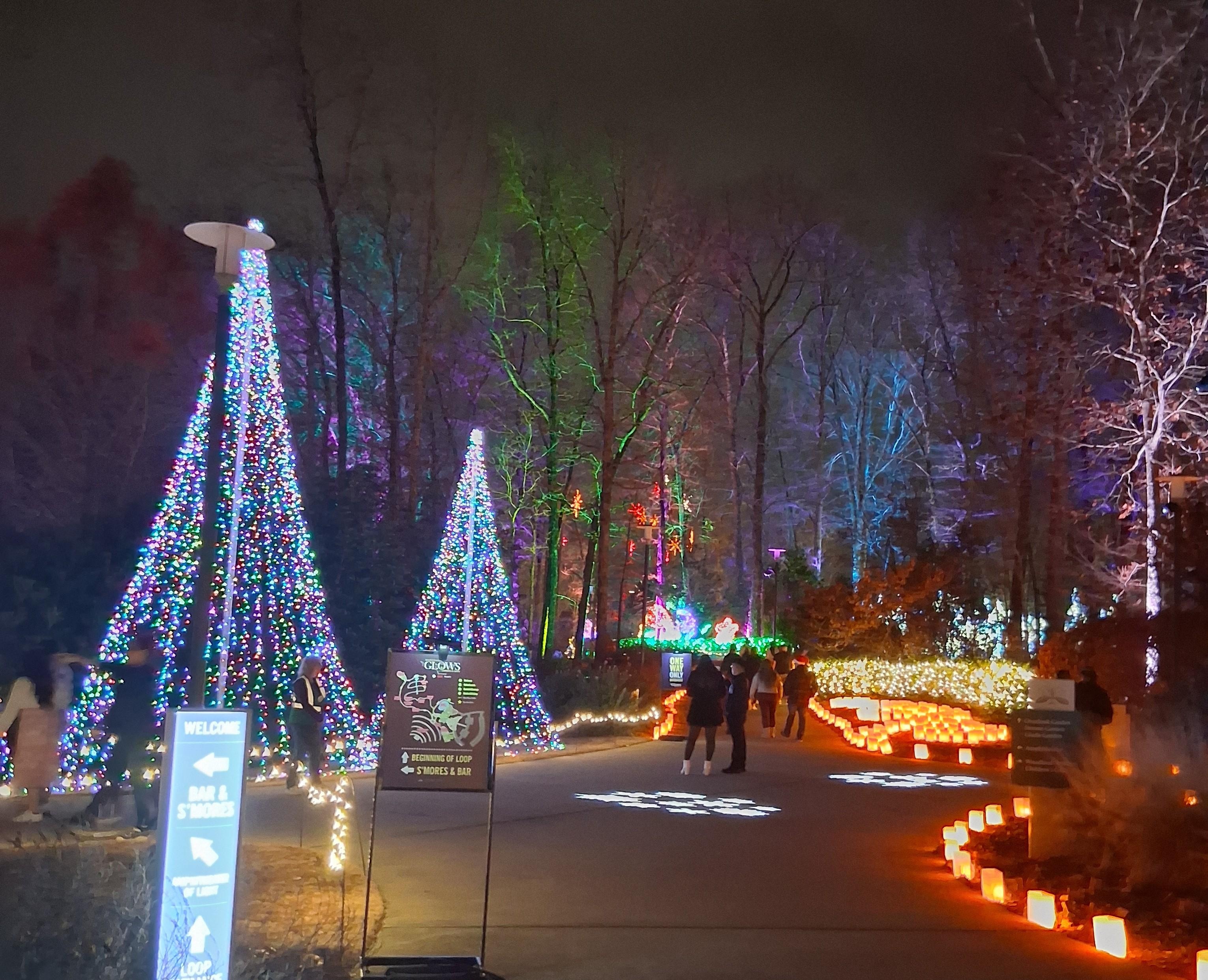 Gainsville botanical gardens.