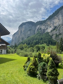View looking out from patio