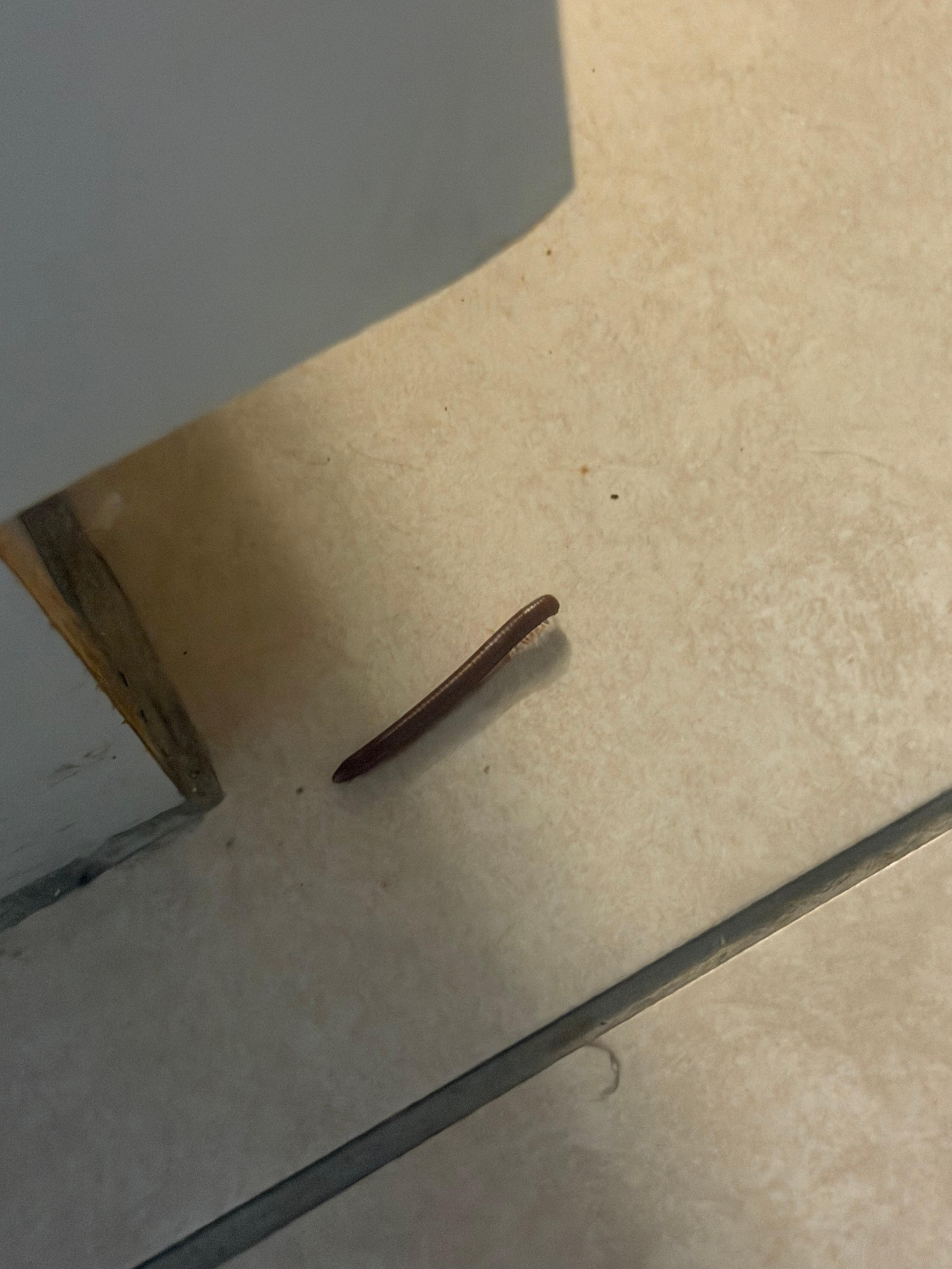 Don’t believe the photos on their website. This is a rundown dump in a terrible neighborhood.