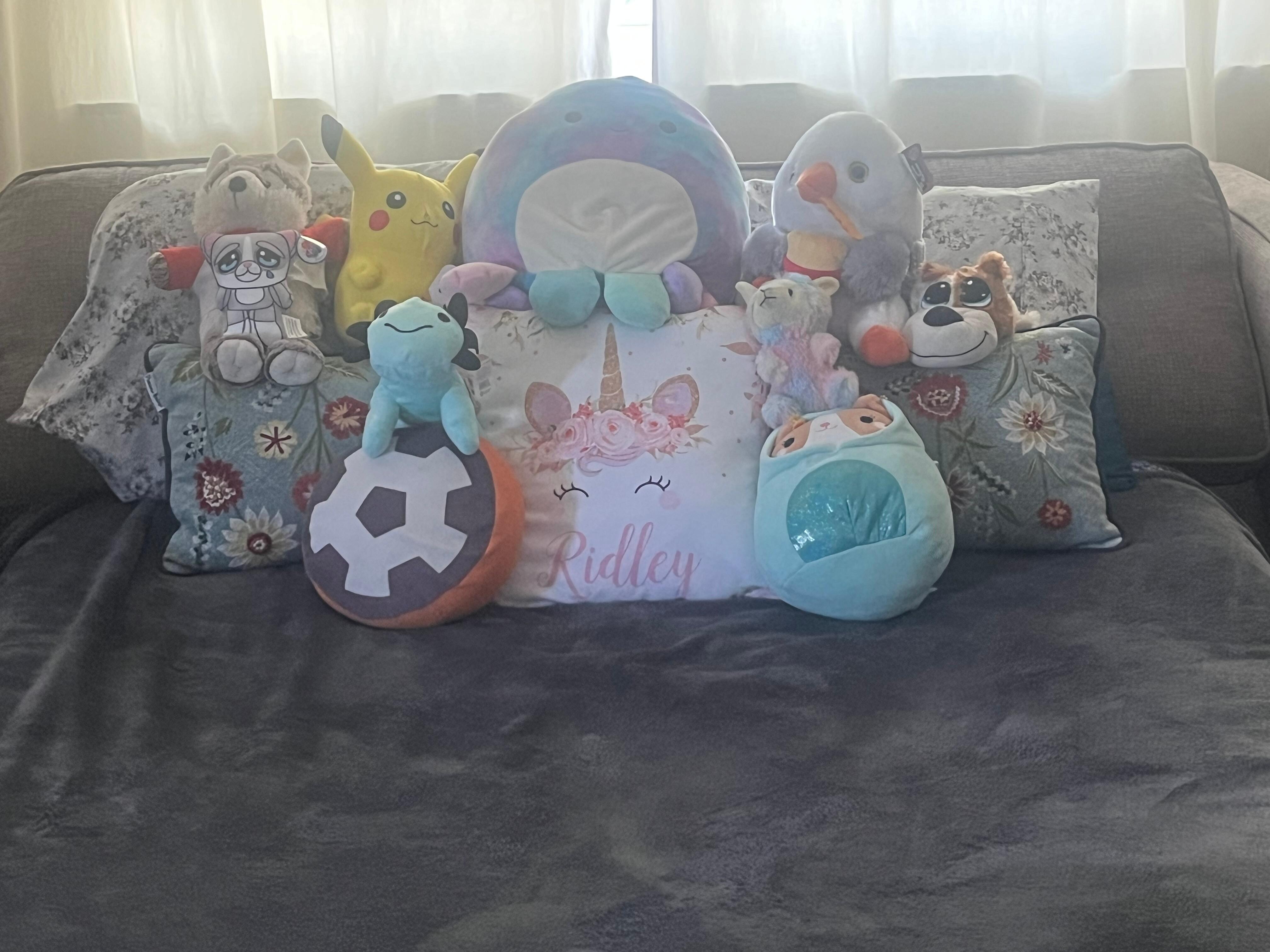 Pull out couch With lots of stuffies from the boardwalk!