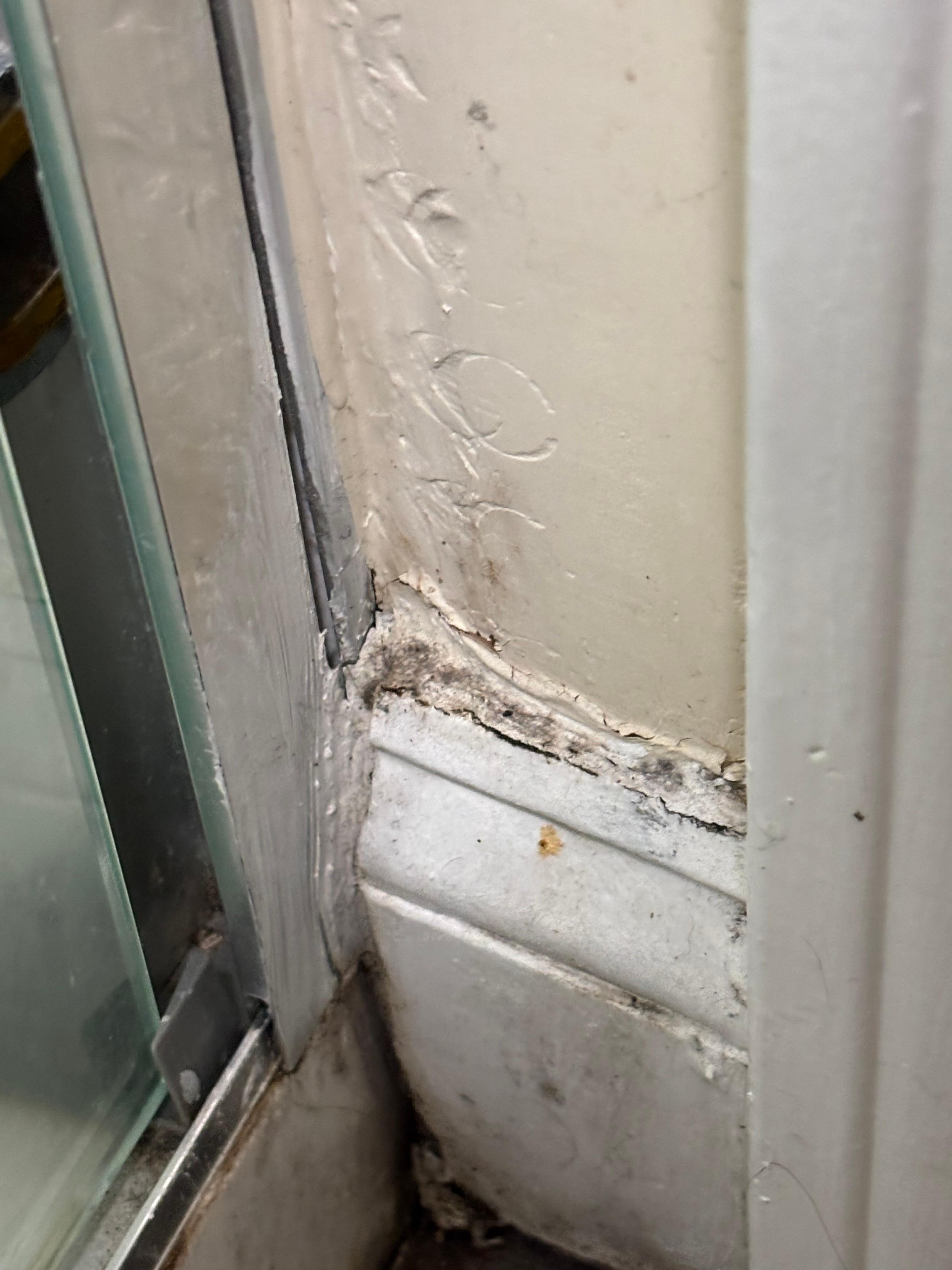 Mold and dirt on bathroom wall and baseboards 