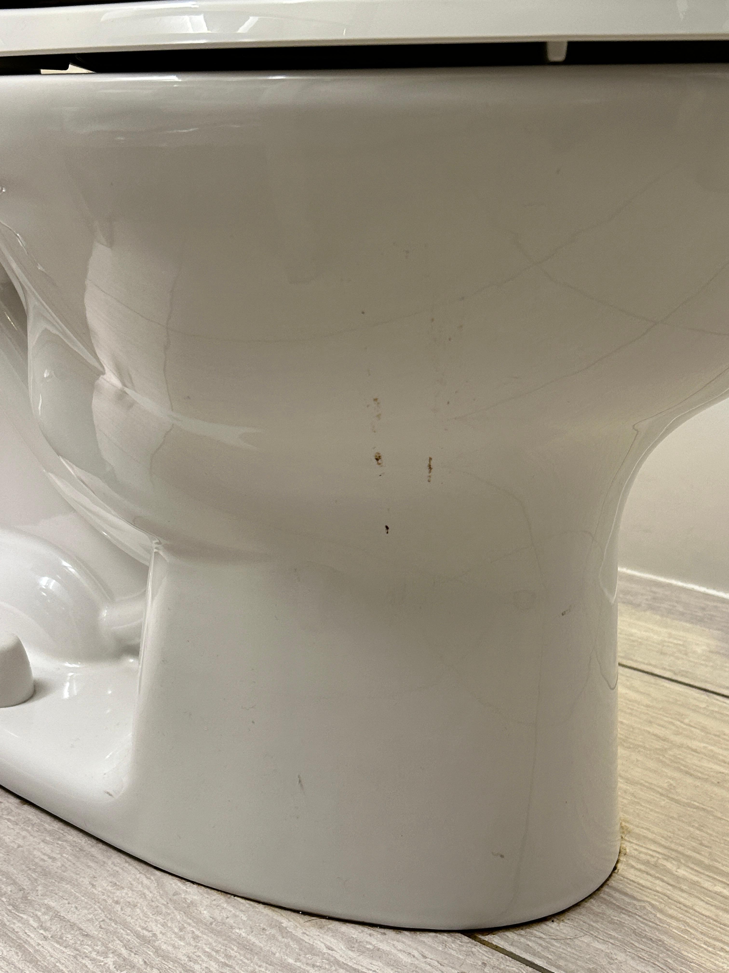 Excrement on the toilet upon arrival