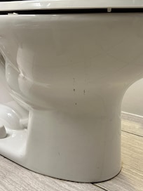 Excrement on the toilet upon arrival