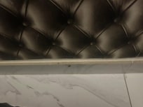 Cucarachas