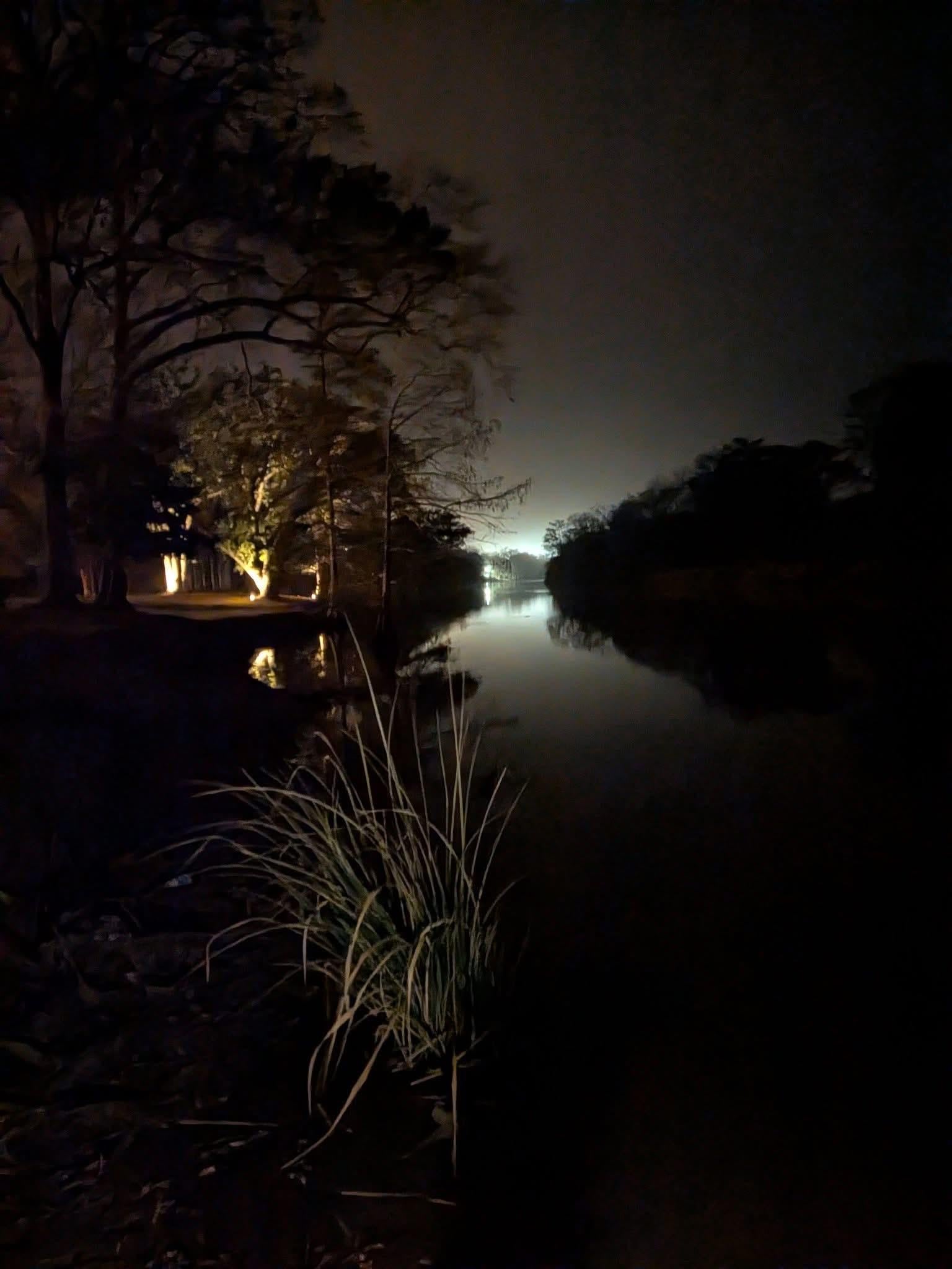 Backyard stroll to the bayou