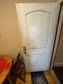 Mildew front door