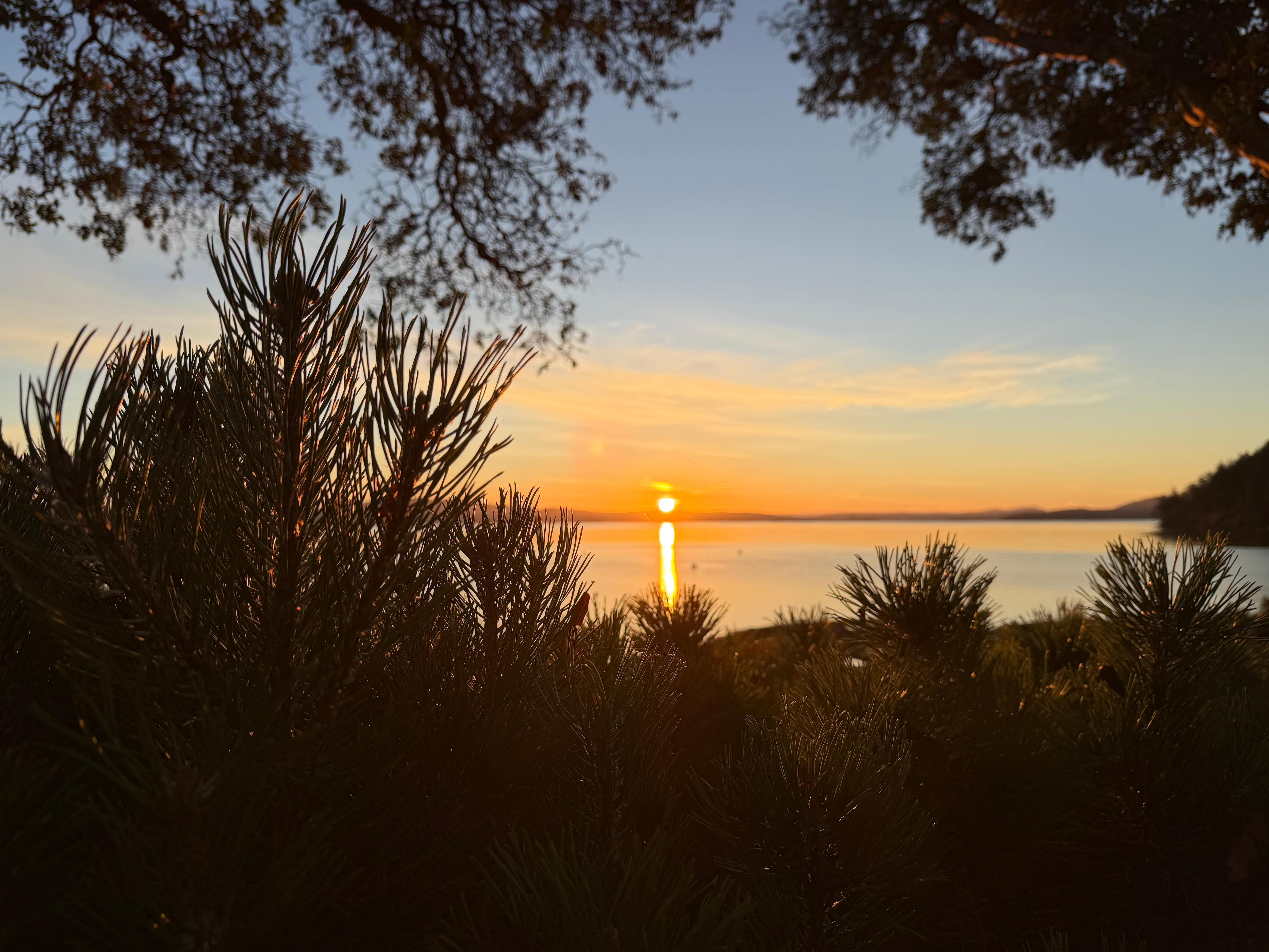 Sunset from property. 