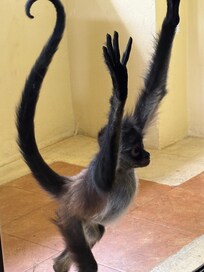 New friends every day