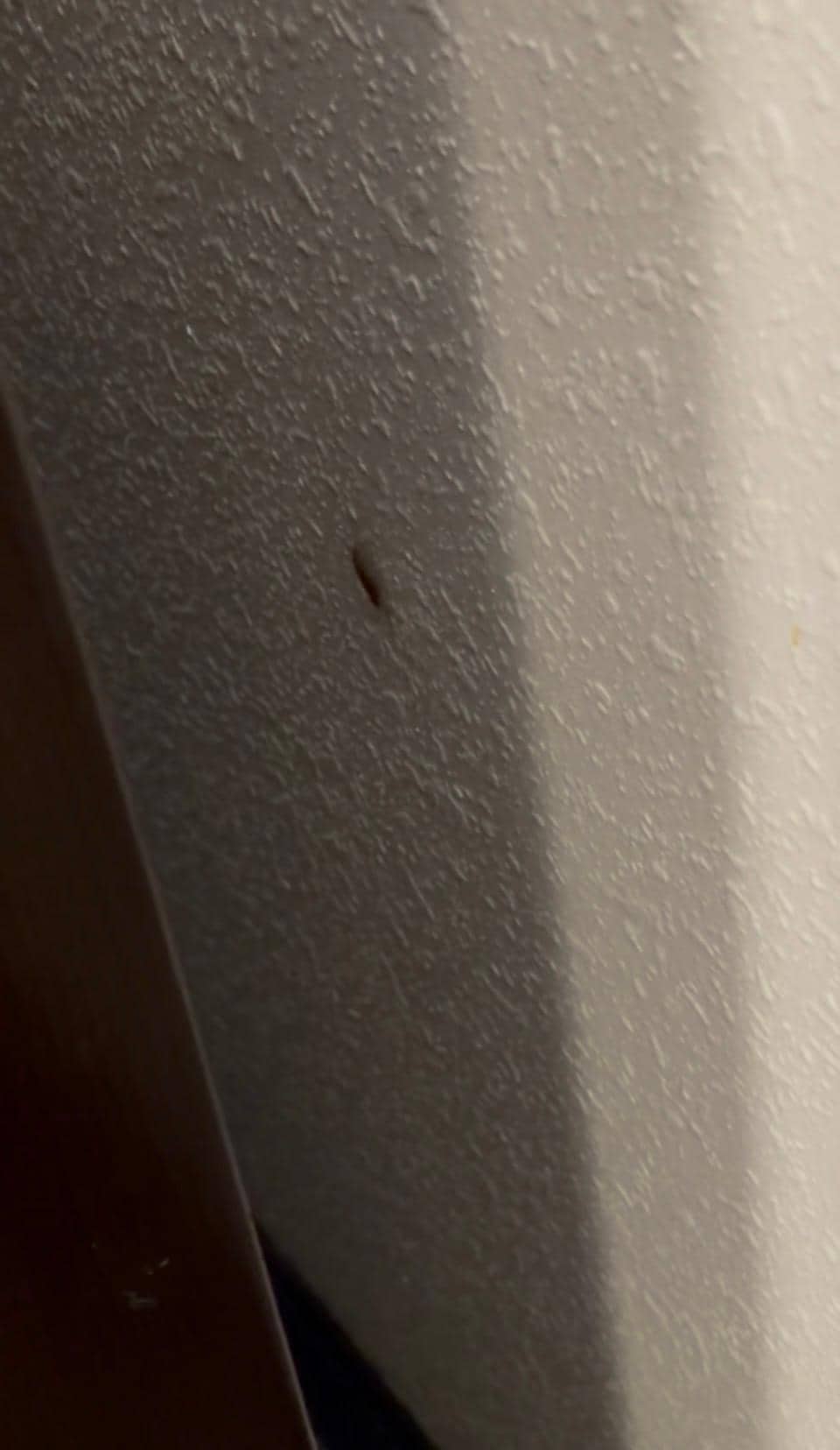Roach problem in room