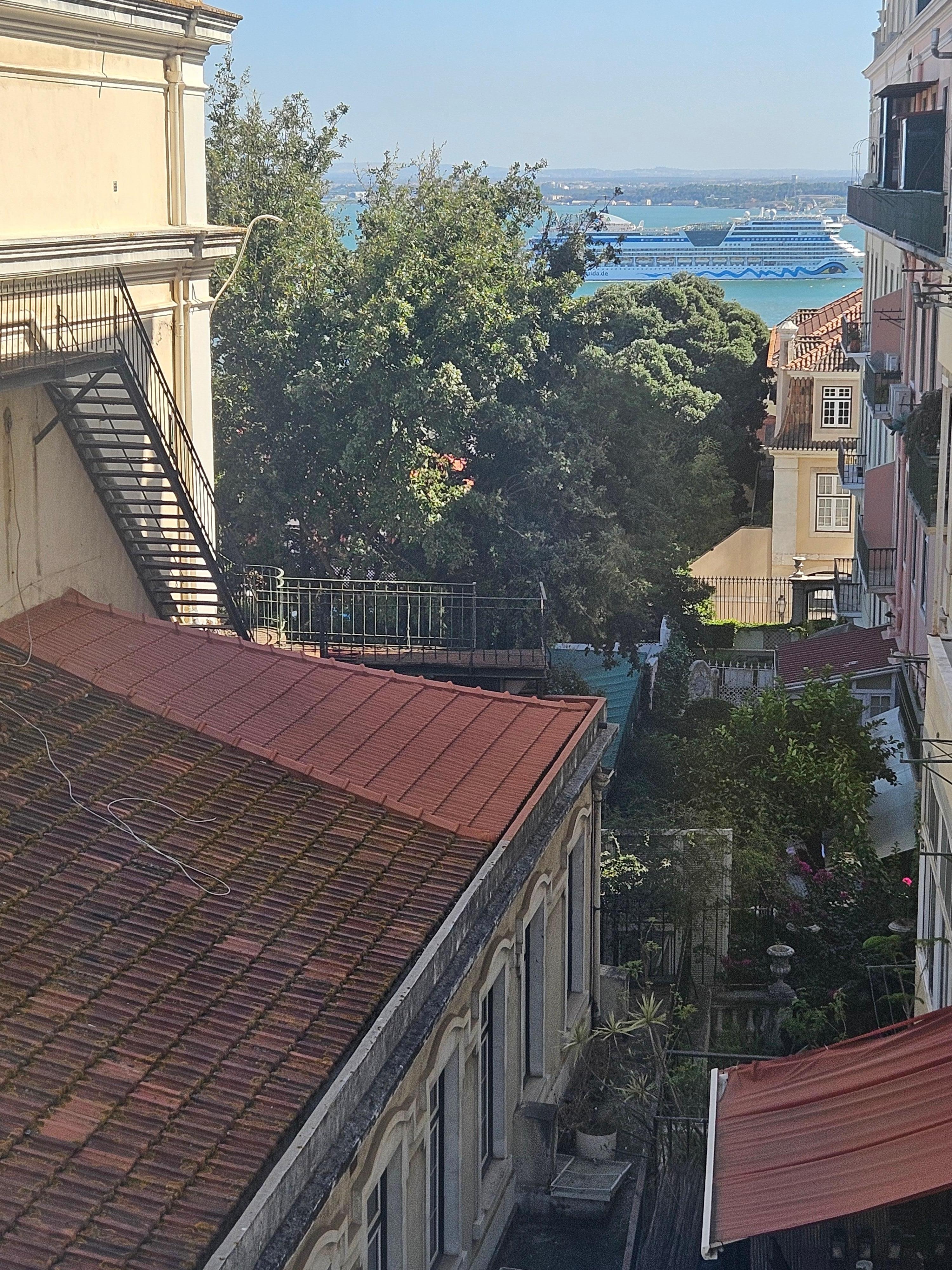 See the cruise ship between the tree and the building across the street? 