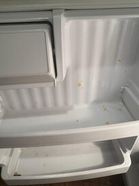 Old gross cheese chunks