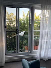 Enjoyed a friendly visitor!