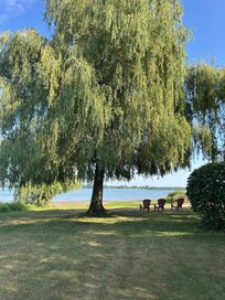 Beautiful yard with a large willow to sit under