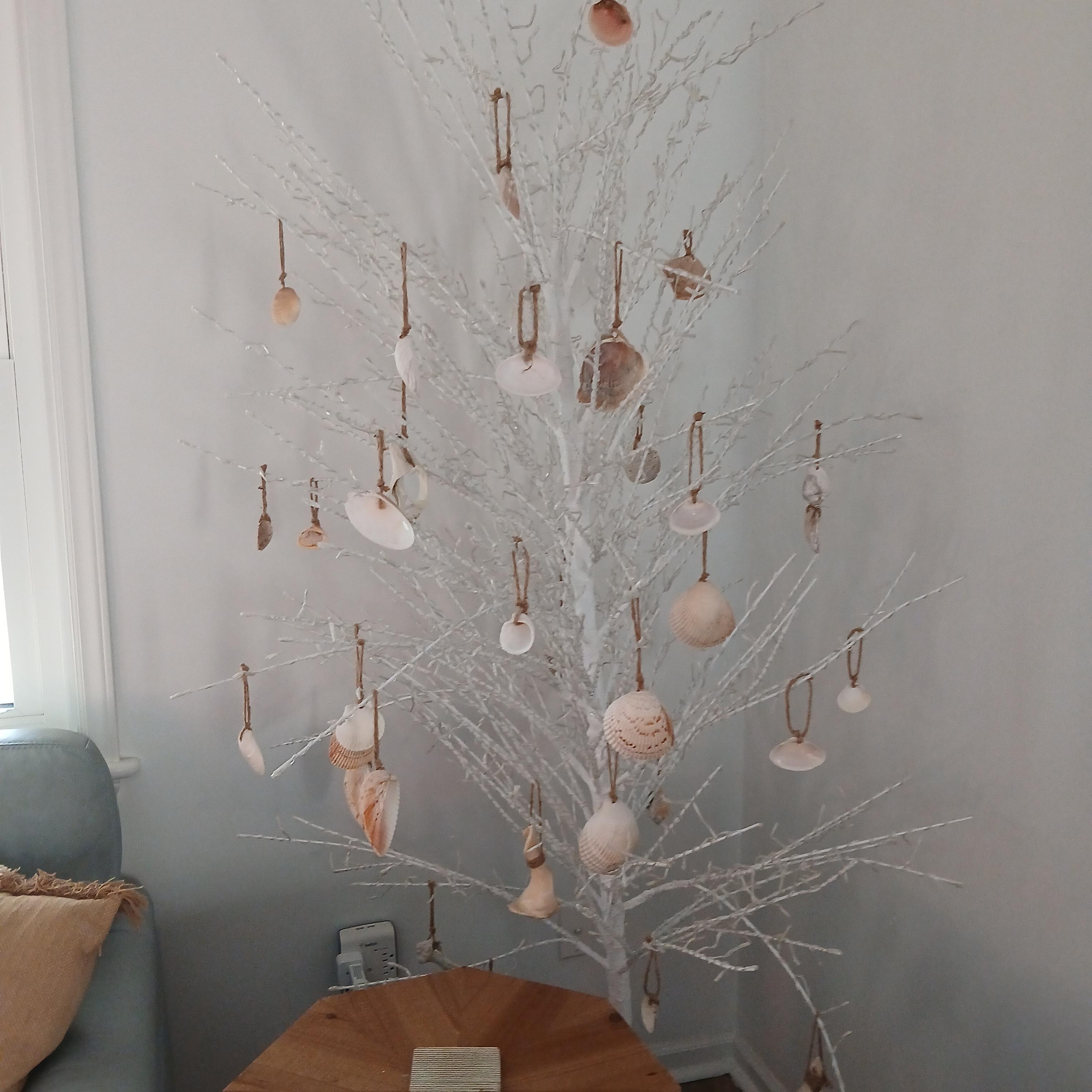 We loved the unique beauty of the living room shell tree!  Gorgeous when lit!