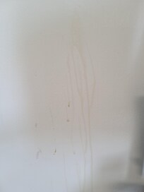 More pee