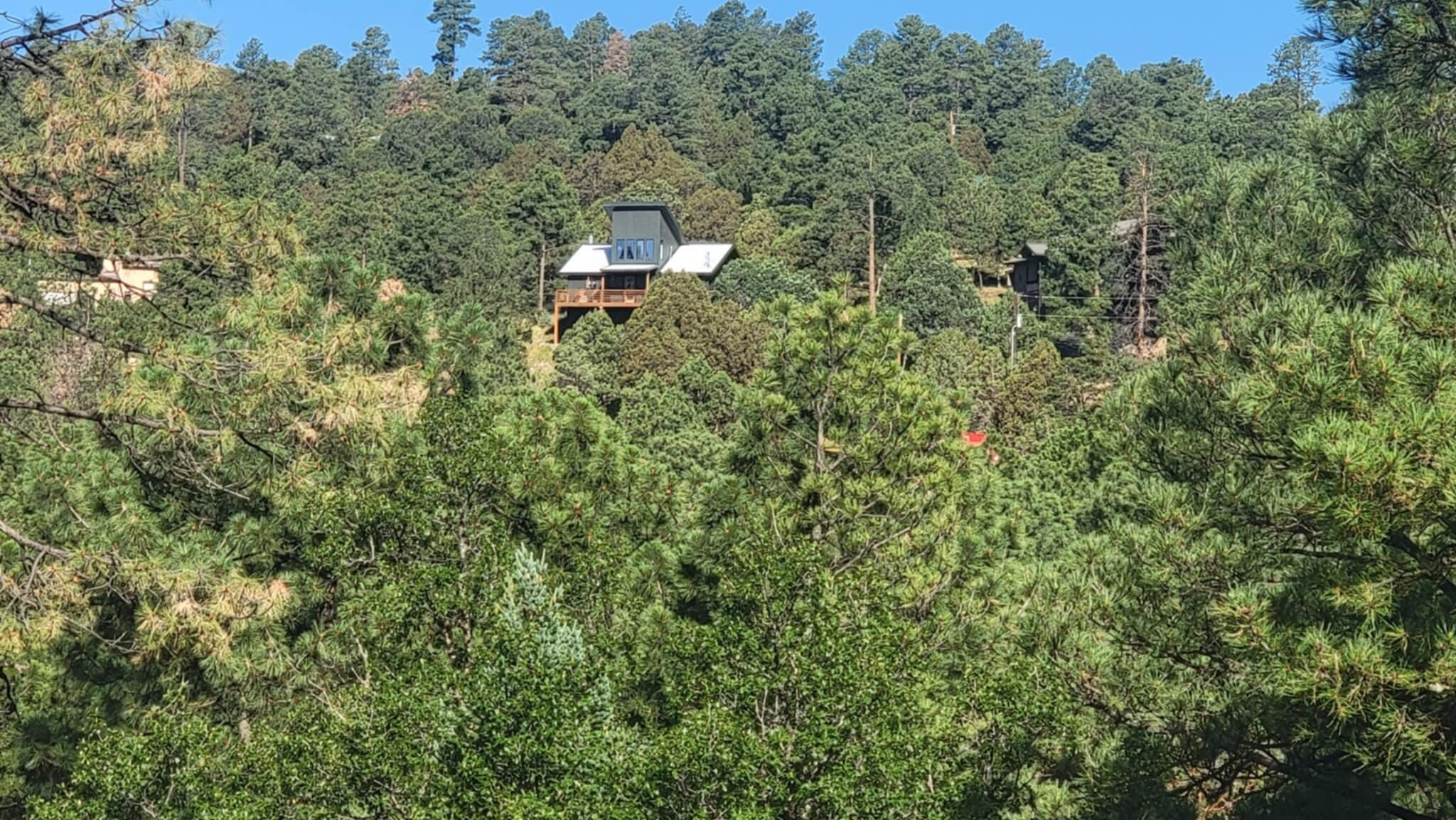 Deer Lover's Paradise in July