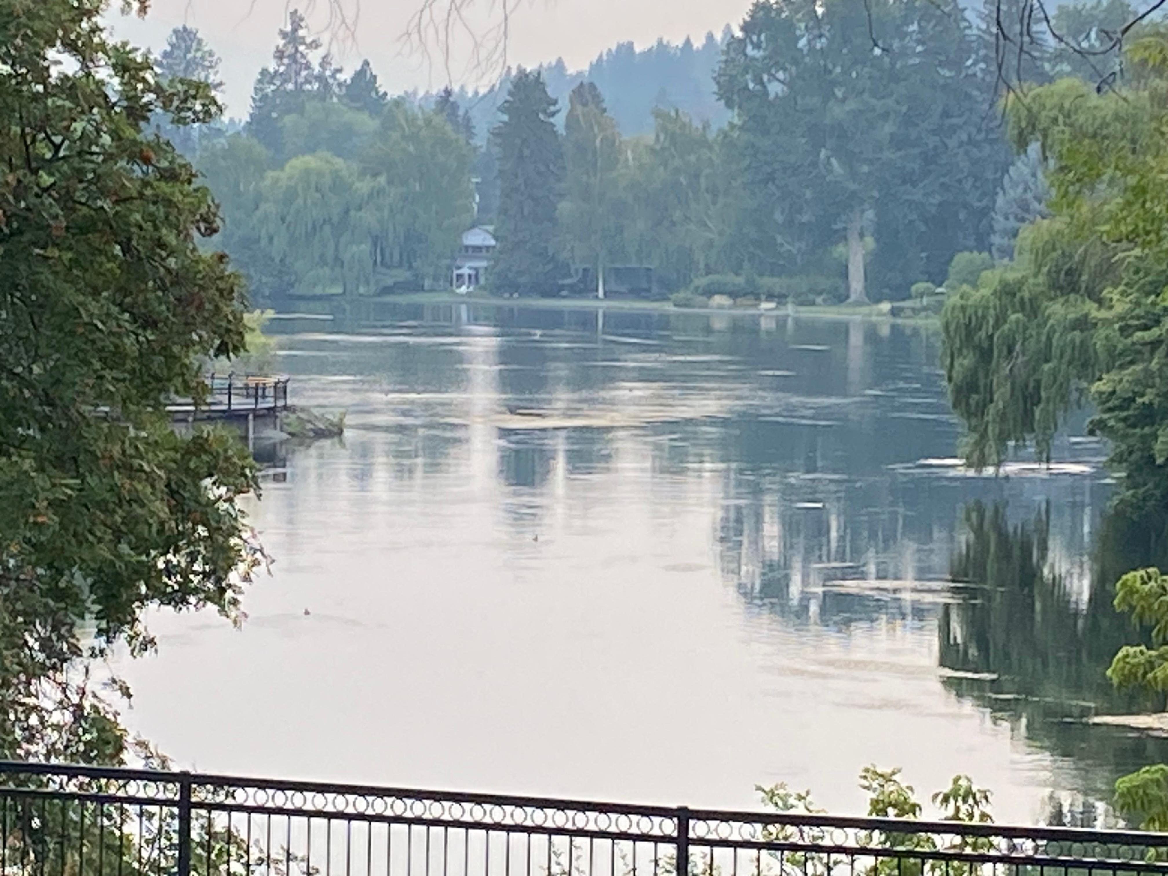 On our walk to downtown.