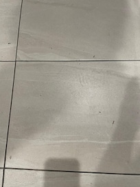 Dirty bathroom floor