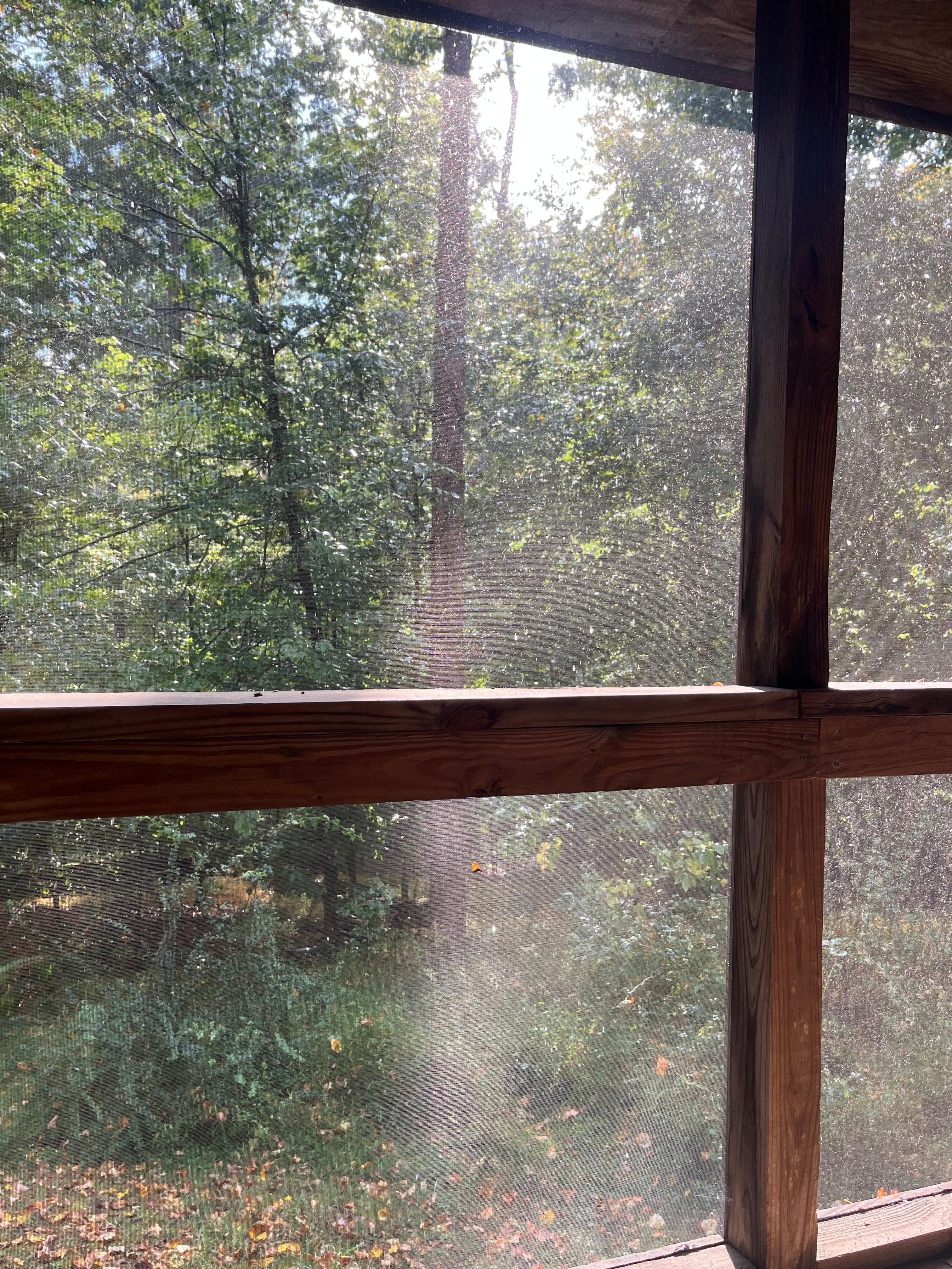 Rainy moment on the back porch 