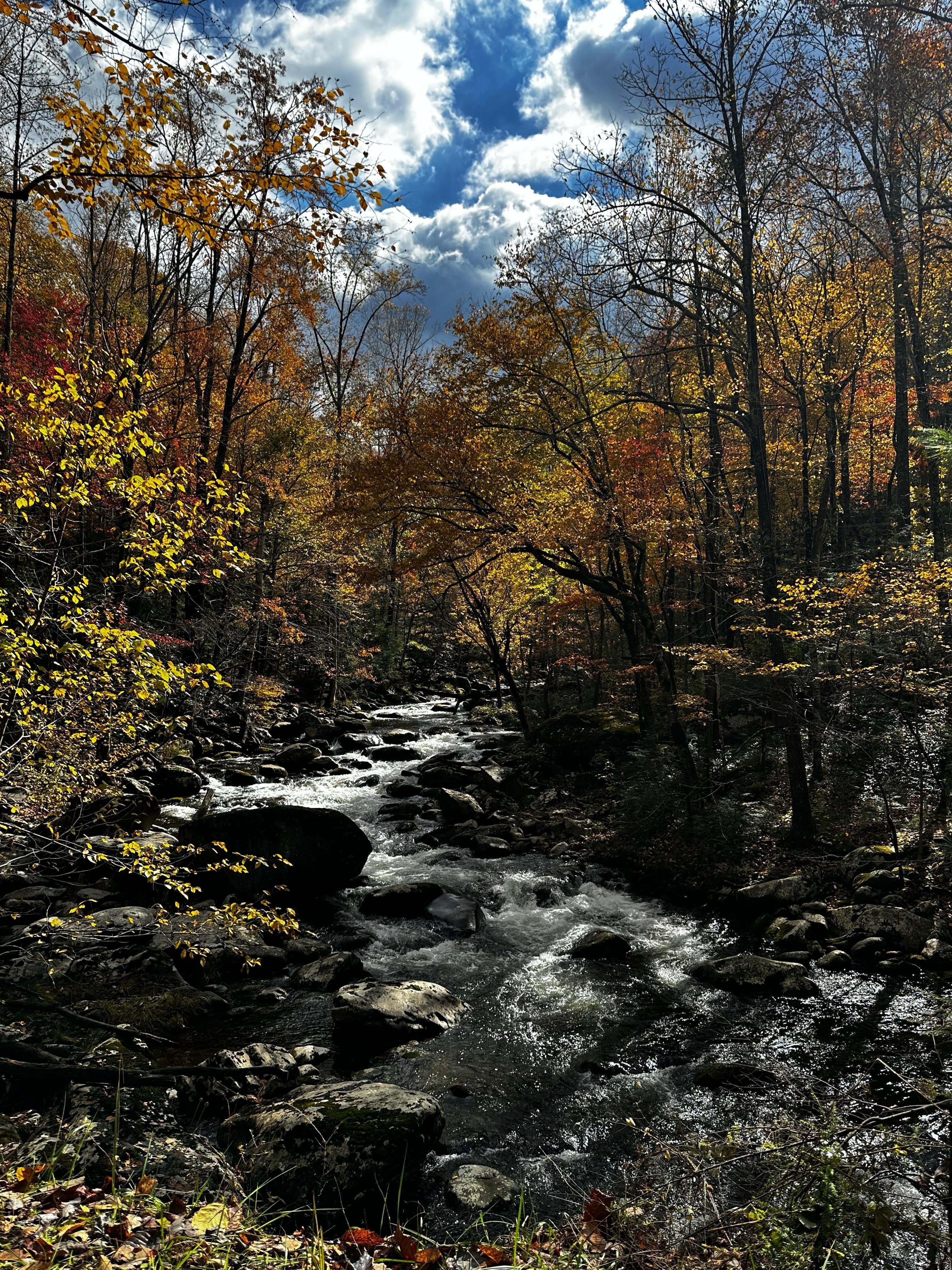 Middle Prong of Little River 