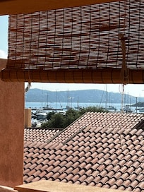 View from back porch