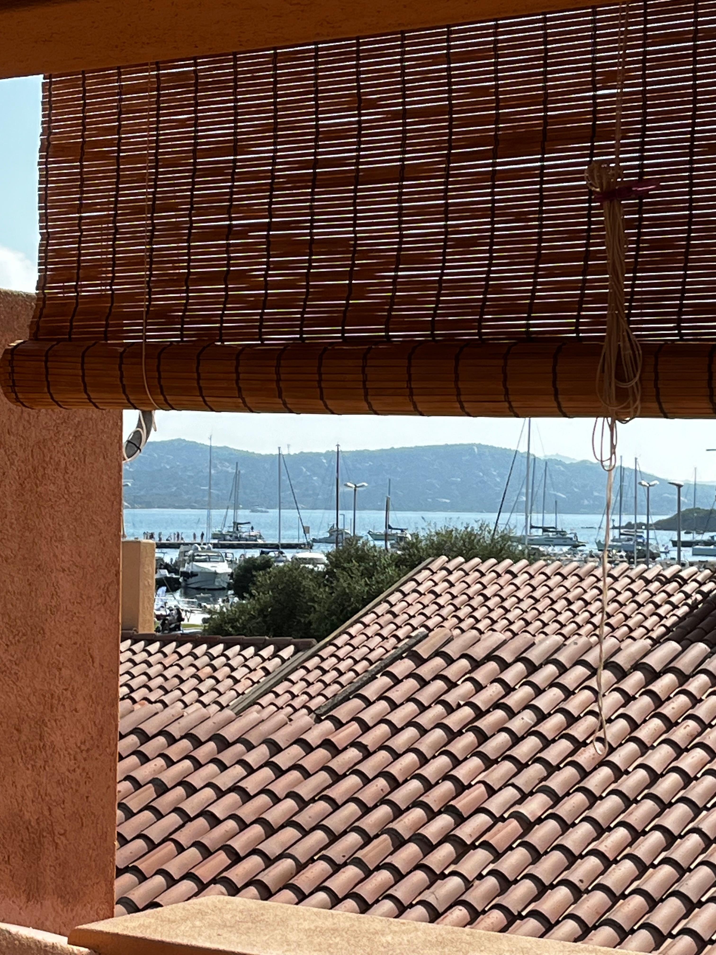 View from back porch