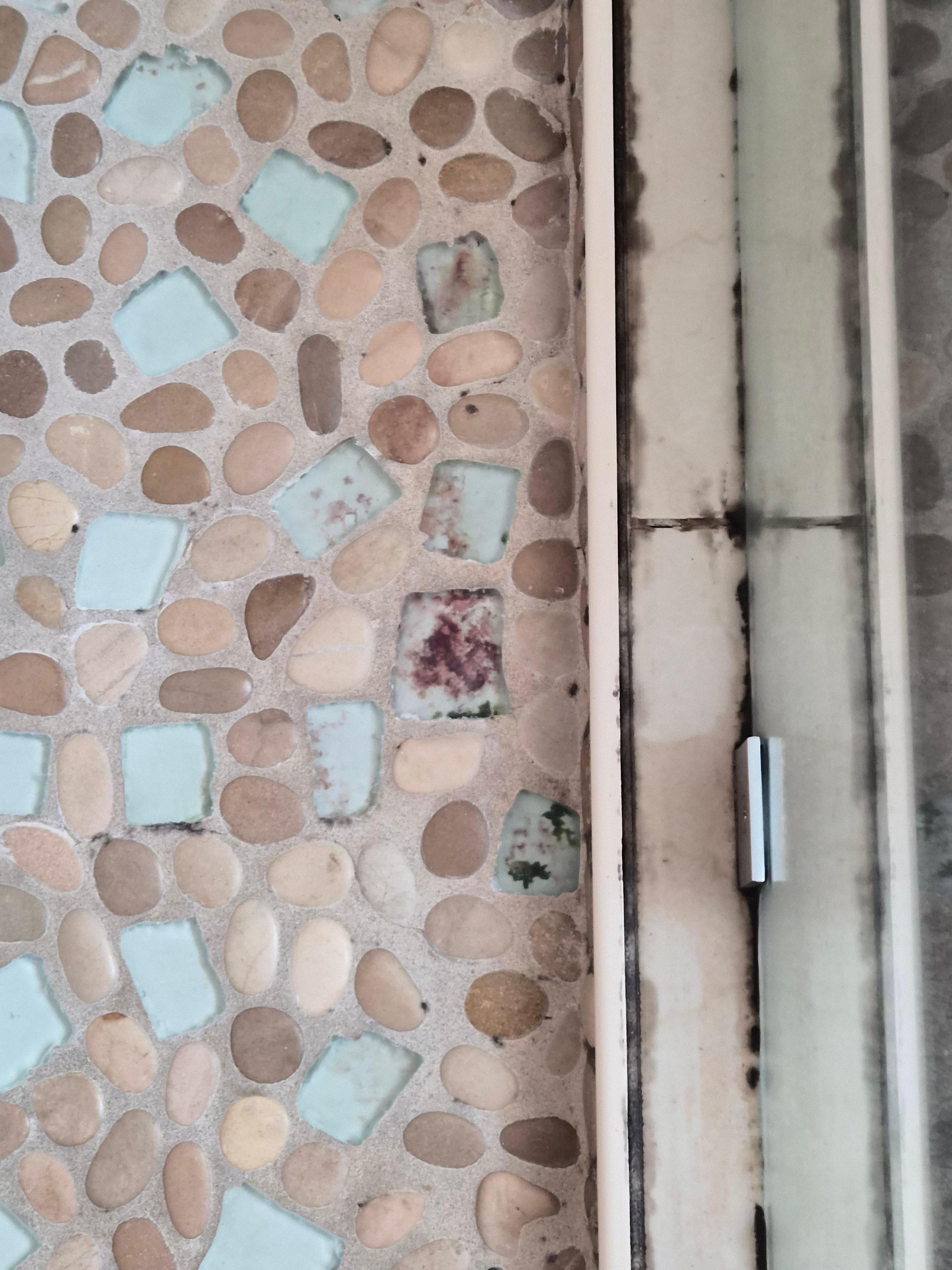 Mold in the shower door track