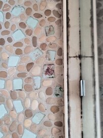 Mold in the shower door track