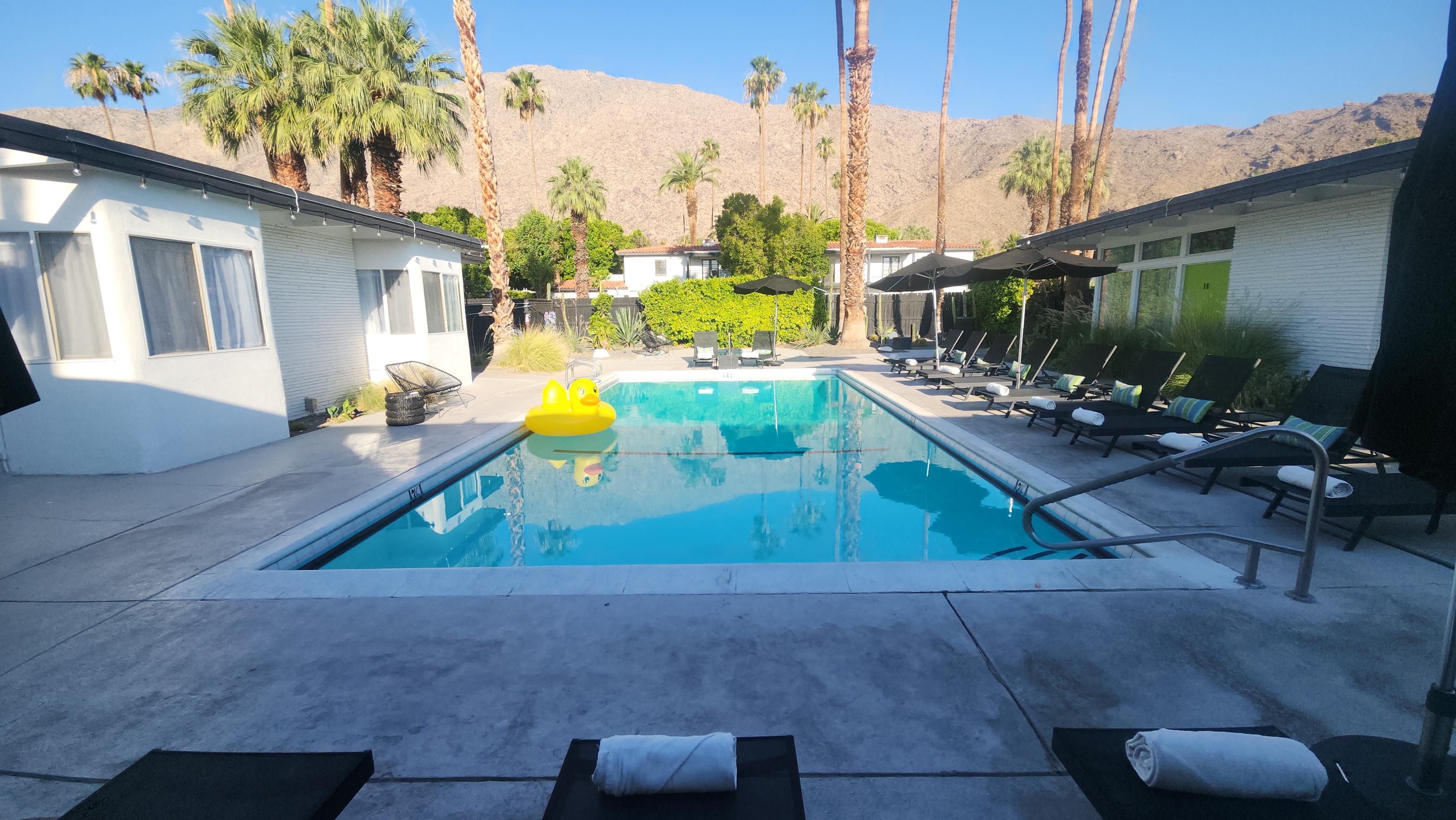 The large pool (with adjacent jacuzzi) is surrounded by high end chaise lounges and plush towels.