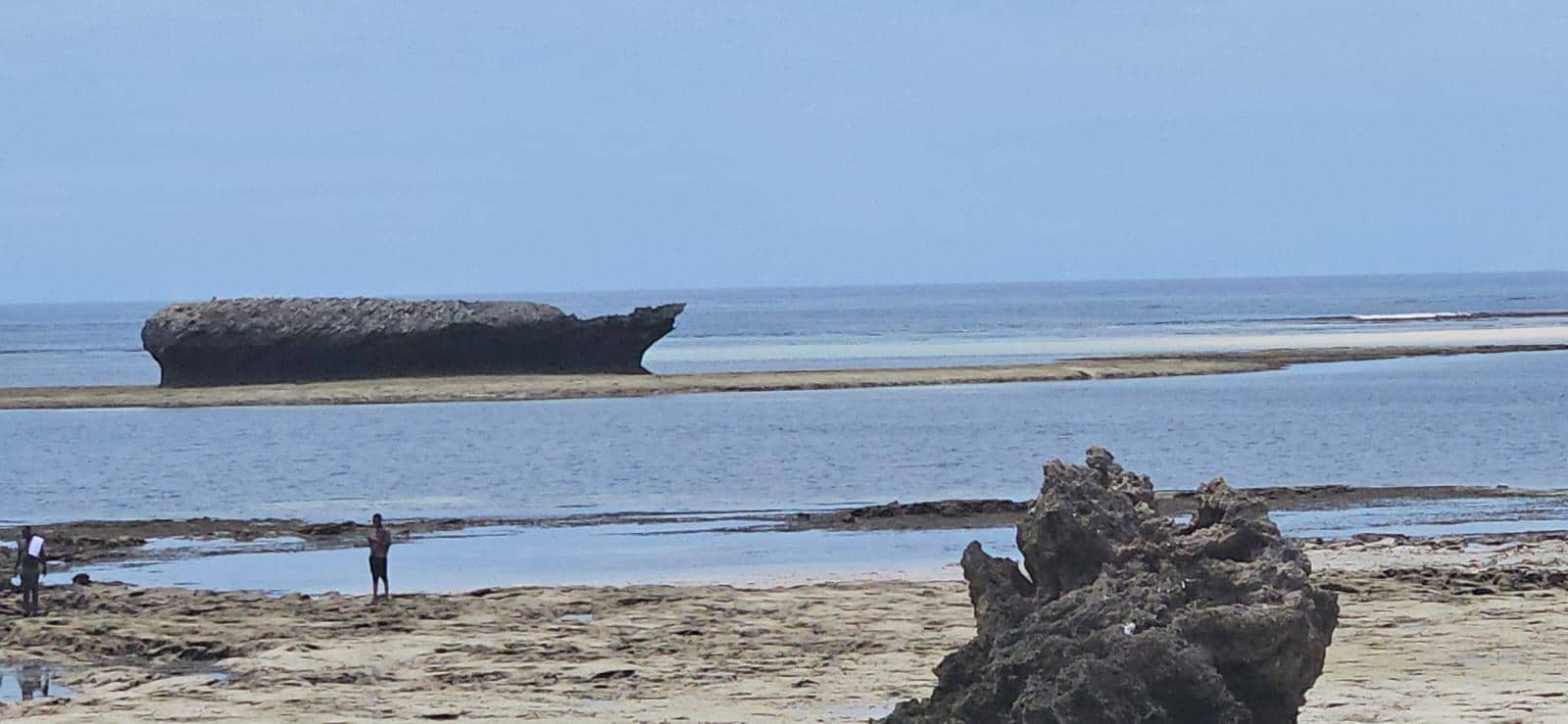 Turtle bay in Watamu