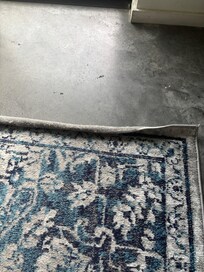 Living room rug -rolled on both ends