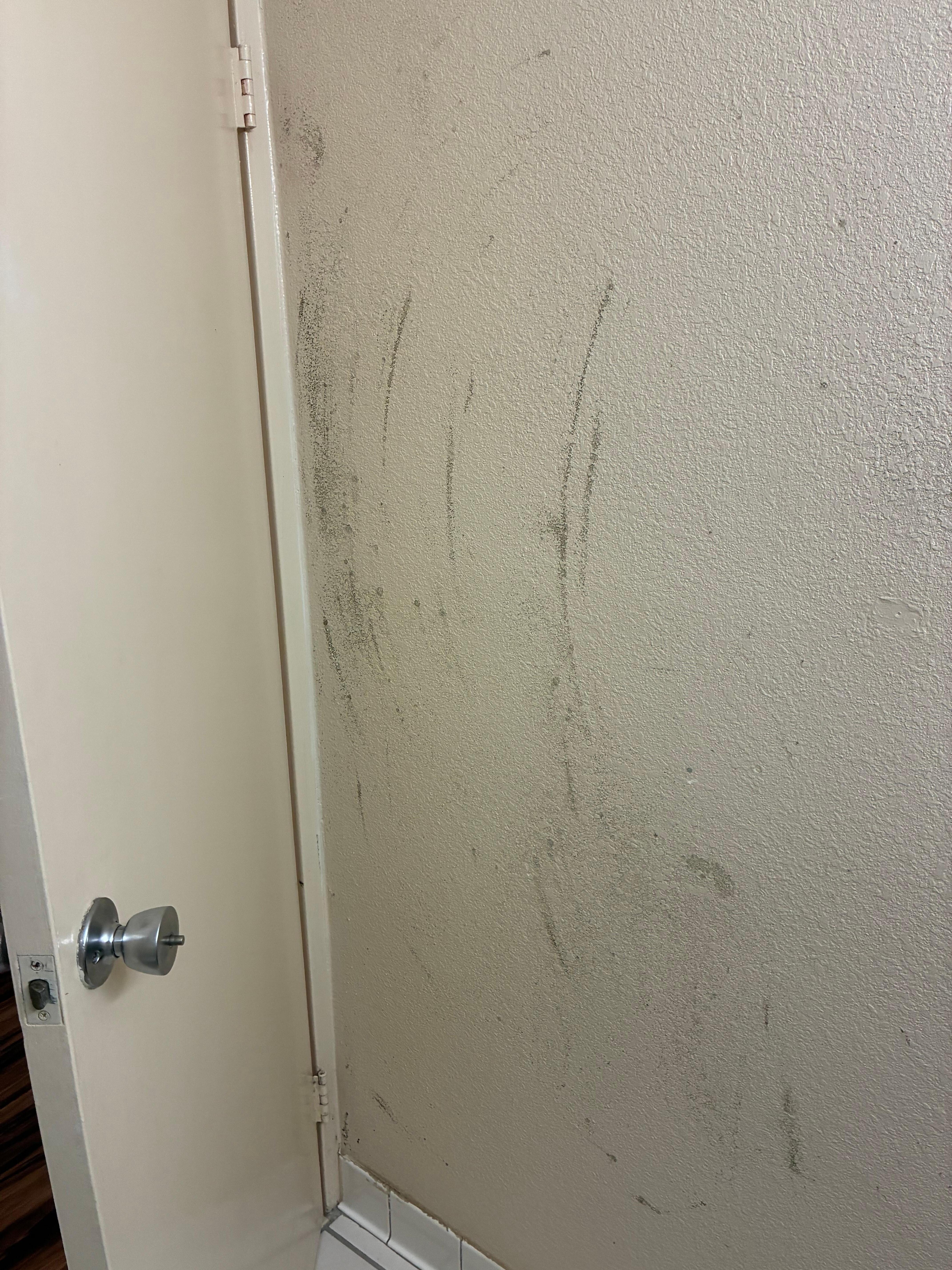 Mold and mildew on the bathroom walls