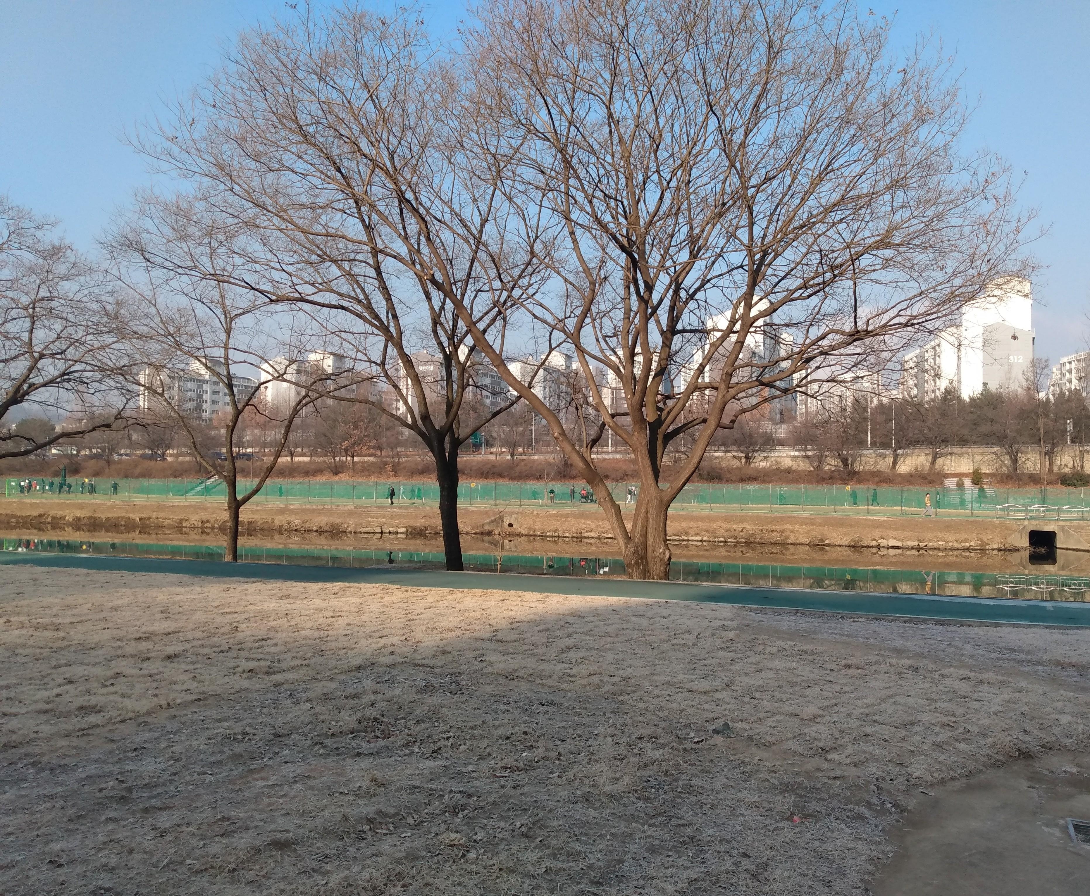 Beautiful park is a block away from hotel 