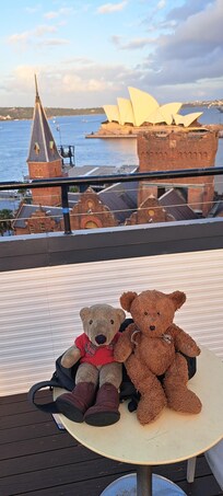 TA and Wally enjoyed the view from the hotel roof once the big cruise ships left.