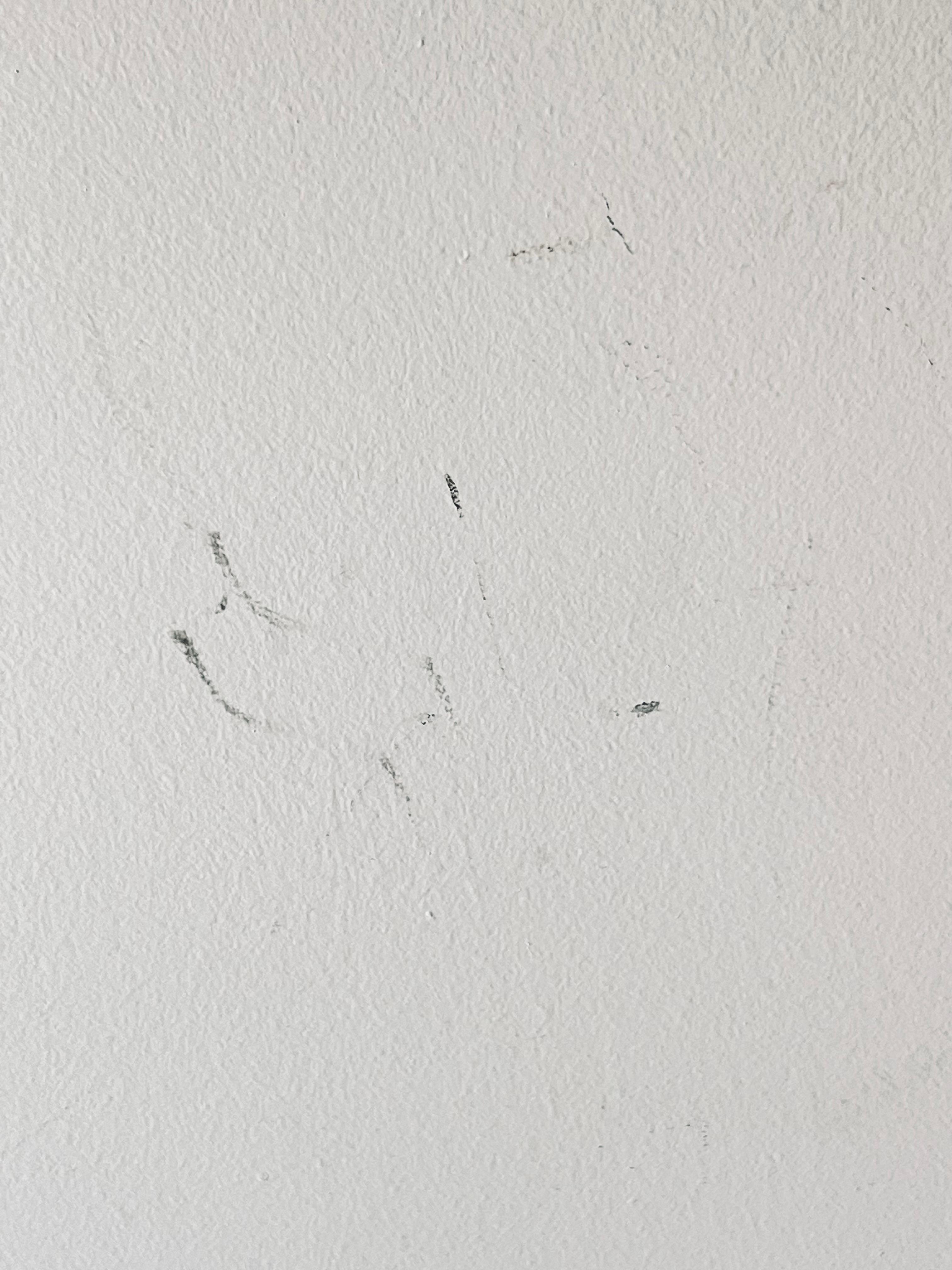 Walls had markings everywhere from never being wiped off 