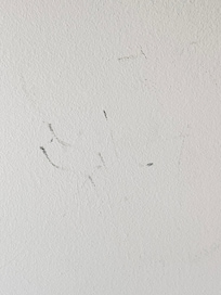 Walls had markings everywhere from never being wiped off