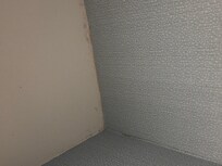 Mold on ceiling