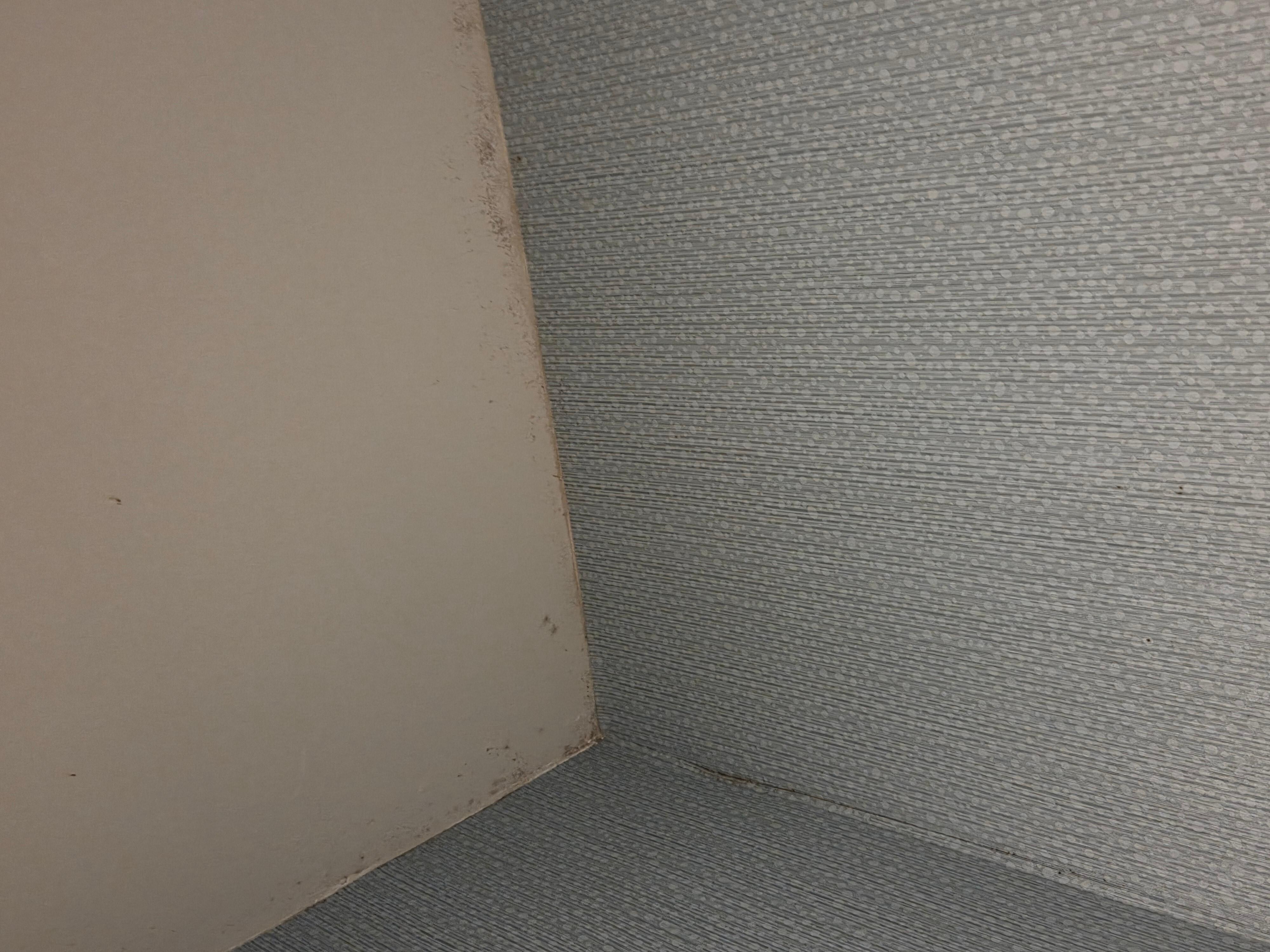 Mold on ceiling