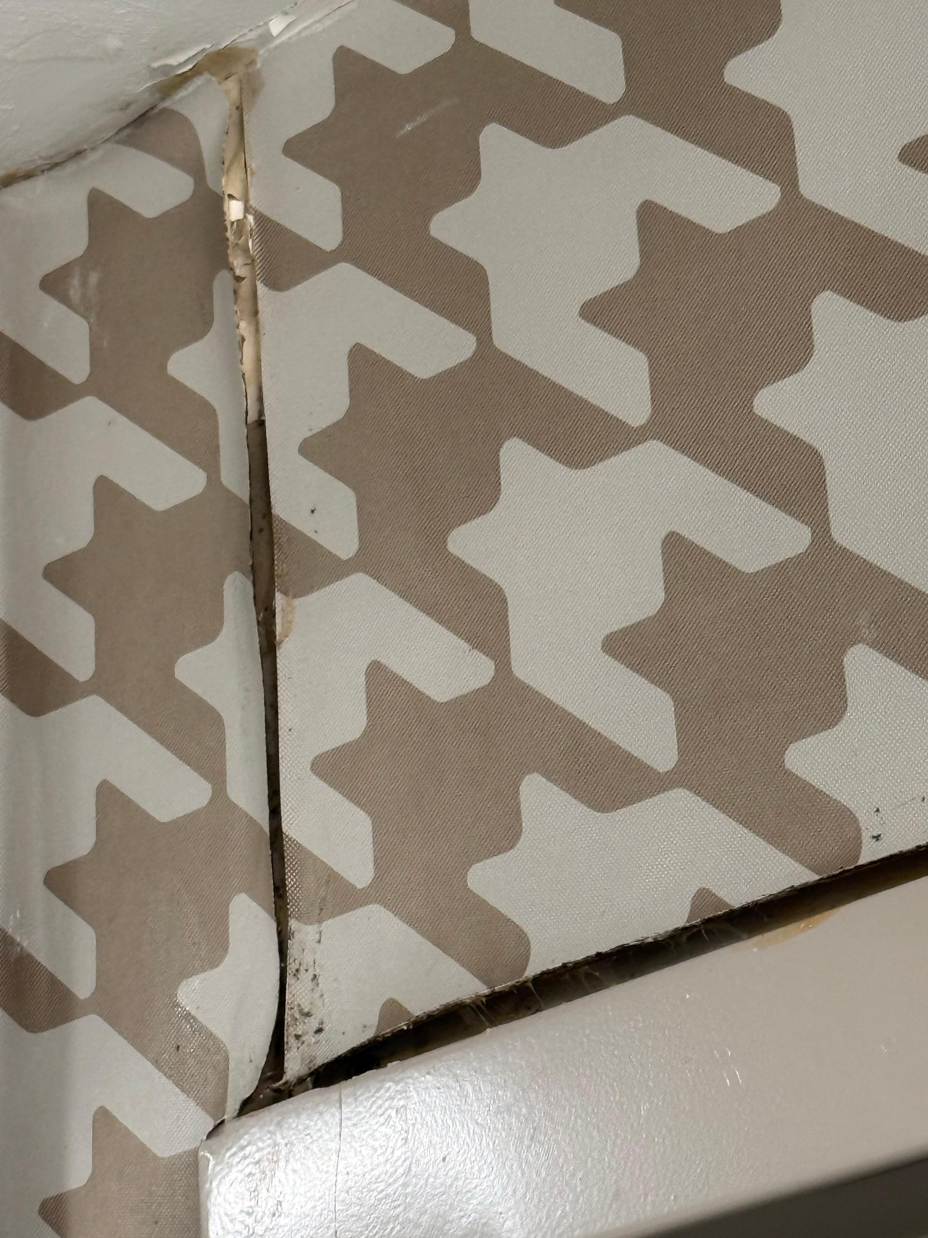 The wallpaper and shower is the area affected by the black mold and mildew. The wallpaper was is noticeably lifted and peppered with black mold. Also the  ceiling has evidence of water leakage.