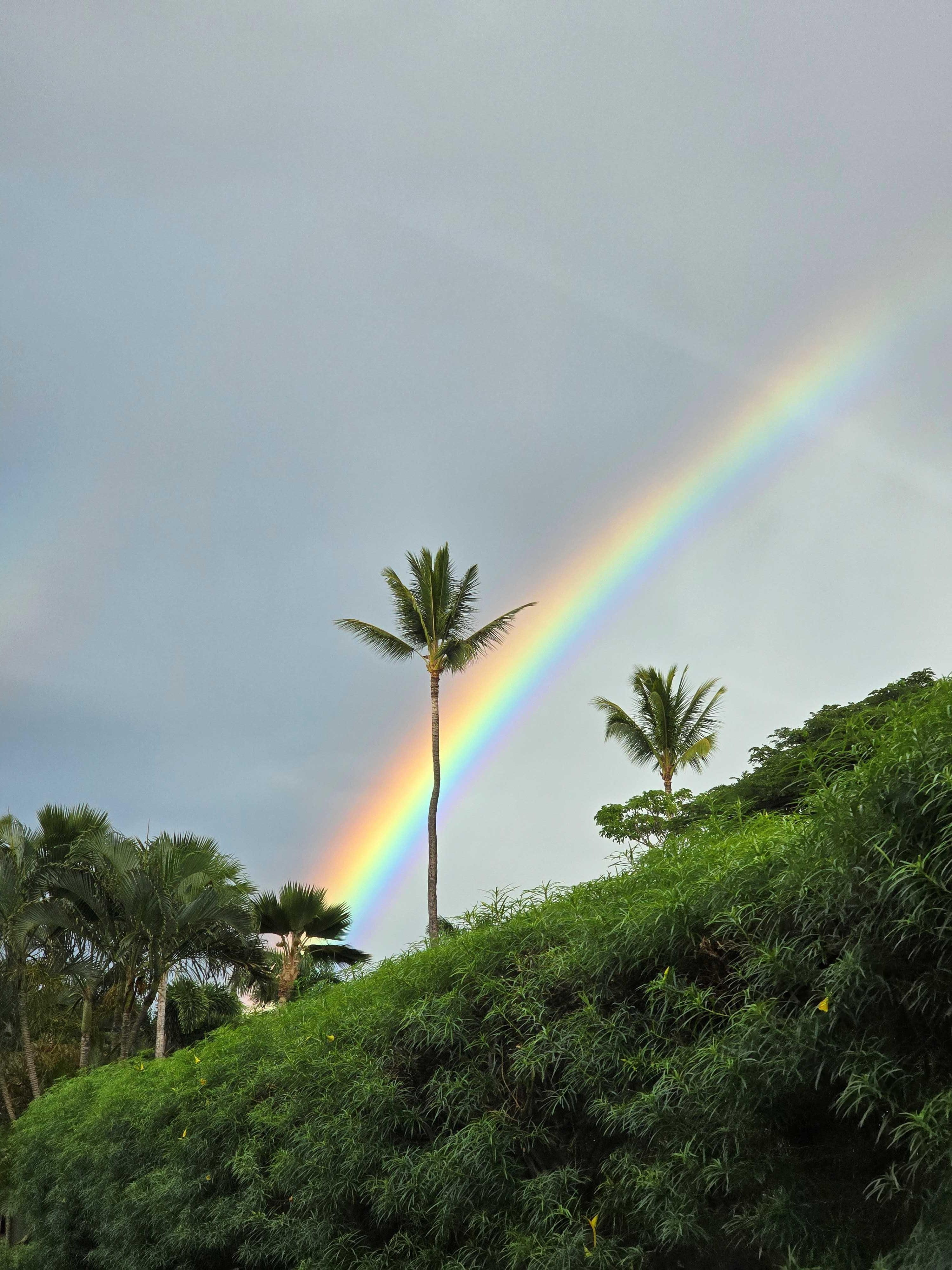 Rainbow from the parking lot!